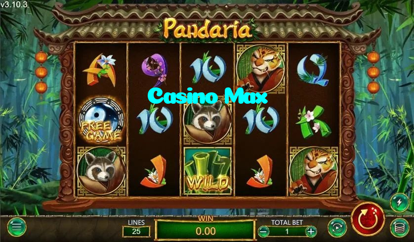making first deposit on Casino Max website using local payment methods in Pakistan